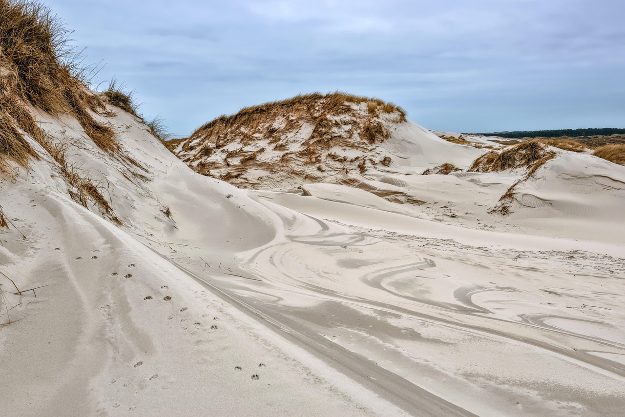 Schelpvormige zeepdispensers en witte badhanddoeken.